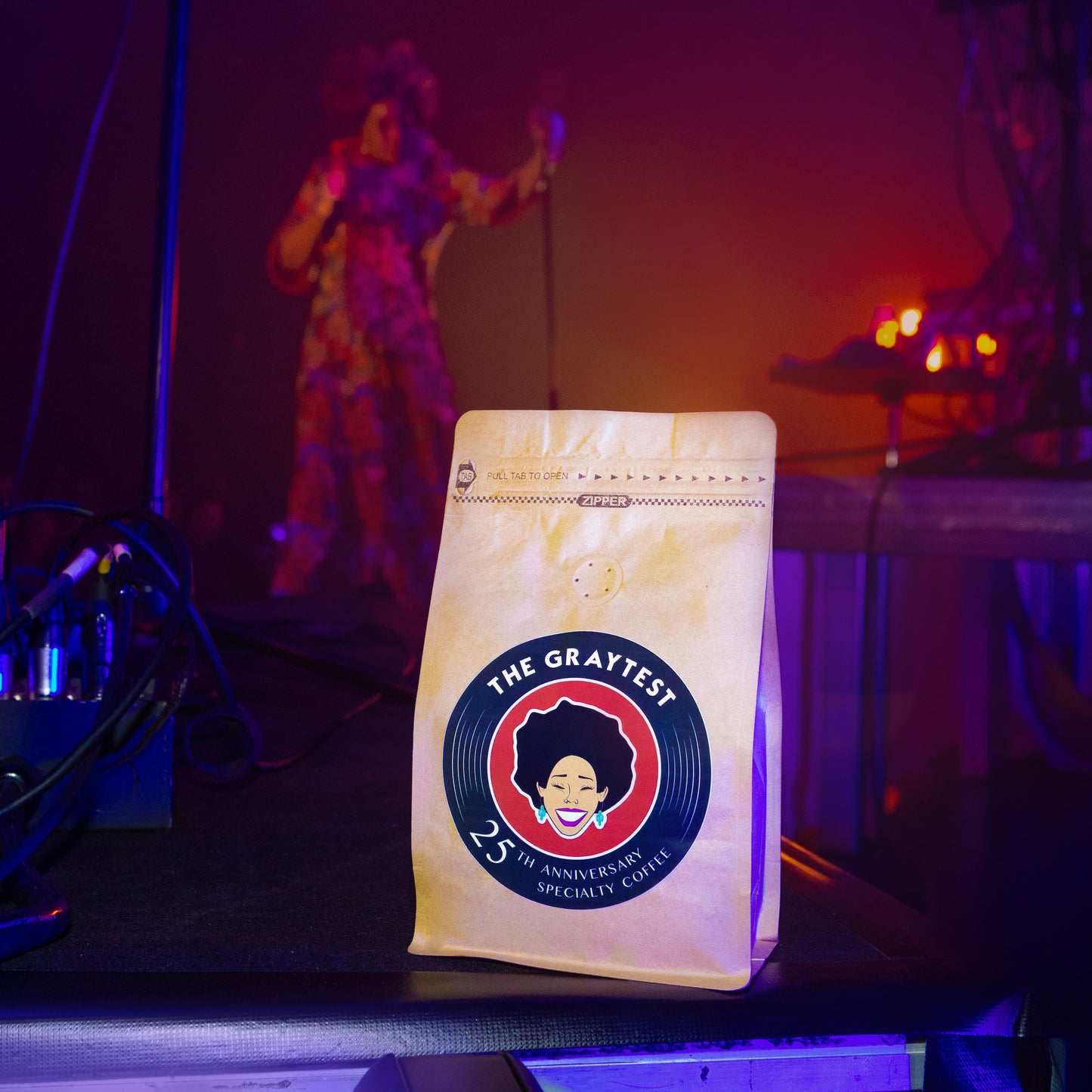Macy Gray 25th Anniversary Roast