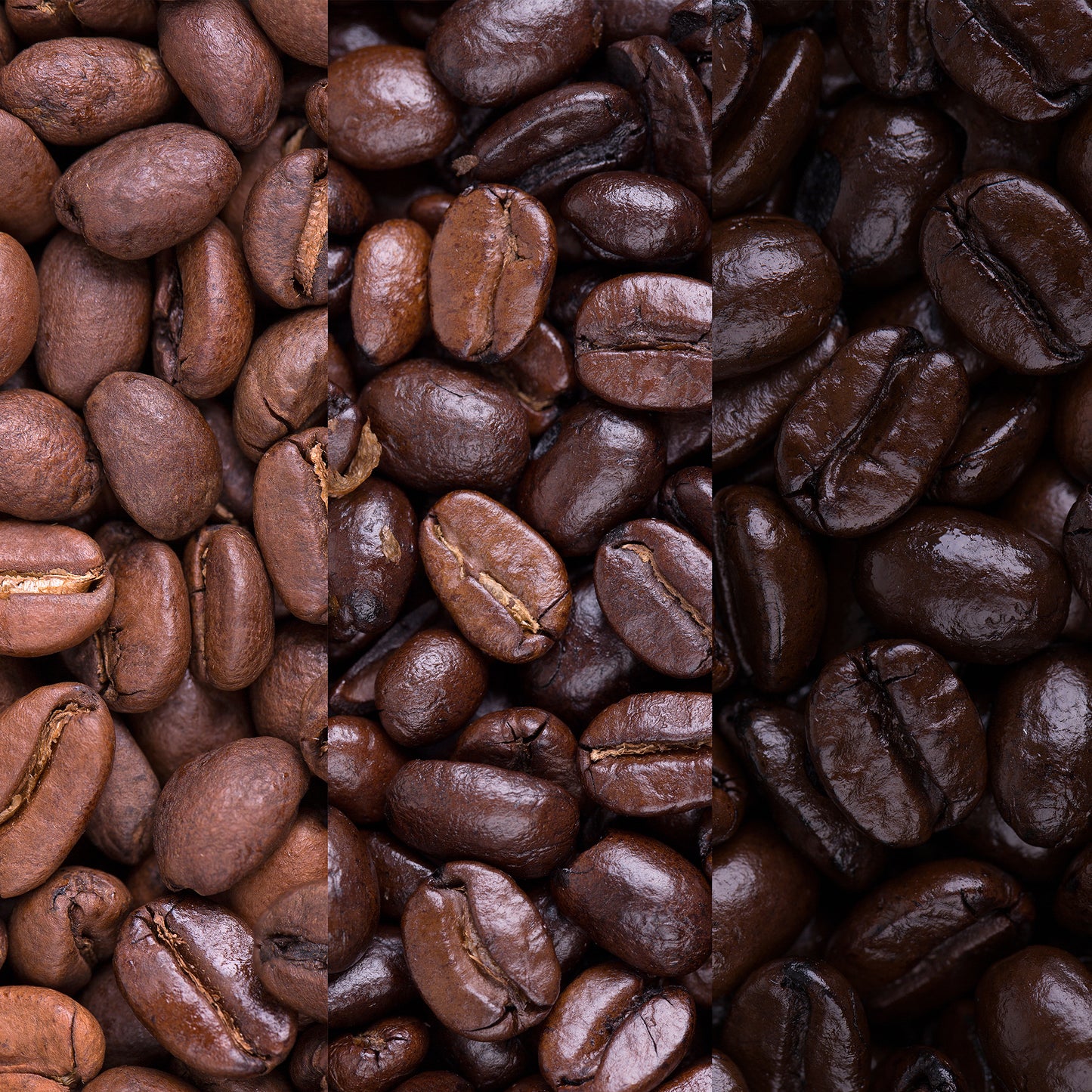 Carico Roasted Coffee Beans